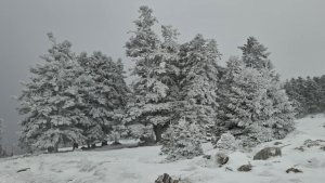 Εξόρμηση στα Κελάρια Παρνασσού και μετά Καμένα Βούρλα για ζεστό μπάνιο!